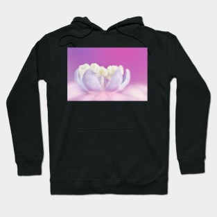 Hydrangea Dreams II Hoodie